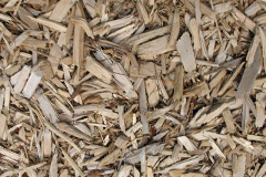 biomass boilers Turleigh